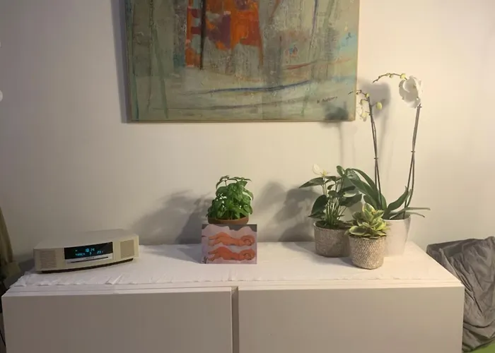 Bonjour Menilmontant!